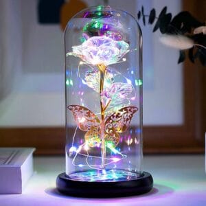 Valentine Rose Glass Dome Lamp with Fairy Lights